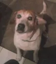 Barto e Cacau 