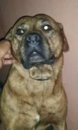 Cronus