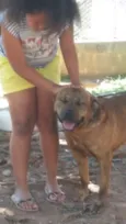 Cronus