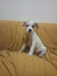 MENININHOS