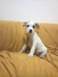 MENININHOS
