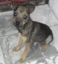 Babí