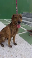 Chica 
