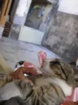 Não tem