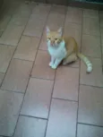 BOB