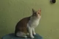 BOB