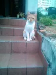 BOB