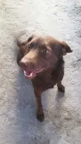 LAIKA