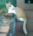 BOB