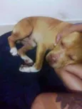 Pit