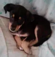 Pequeno