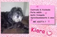 Kiara