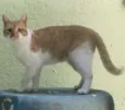 BOB