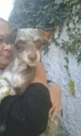 Silvinho