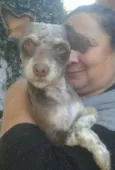 Silvinho
