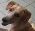 Sol