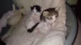 Xirra,Xena,Ceará