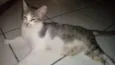 Xirra,Xena,Ceará