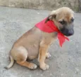ATHOS