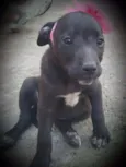 KIRA