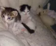 Xirra,Xena,Ceará