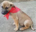 ATHOS