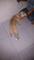 filó