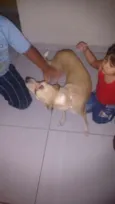 filó