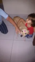filó