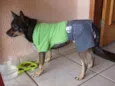 Skoob