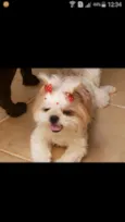 Molly
