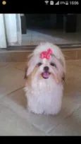 Molly
