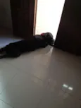 Choco