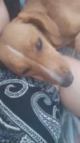 Mel