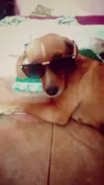 Mel