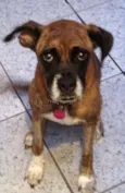 Paçoca