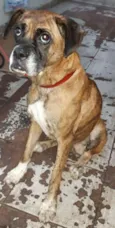 Paçoca