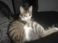 mae efilho