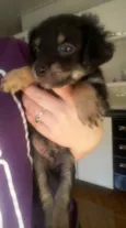 Princesa e Zeus