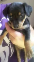 Princesa e Zeus