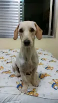 Frederico (Fred)