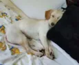 Frederico (Fred)