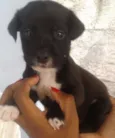Não tem