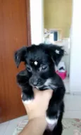 Valentina
