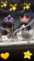 Preta e Milky