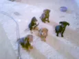 pequenos