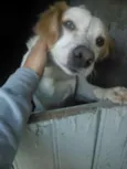 Fred