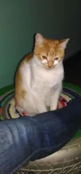Mia