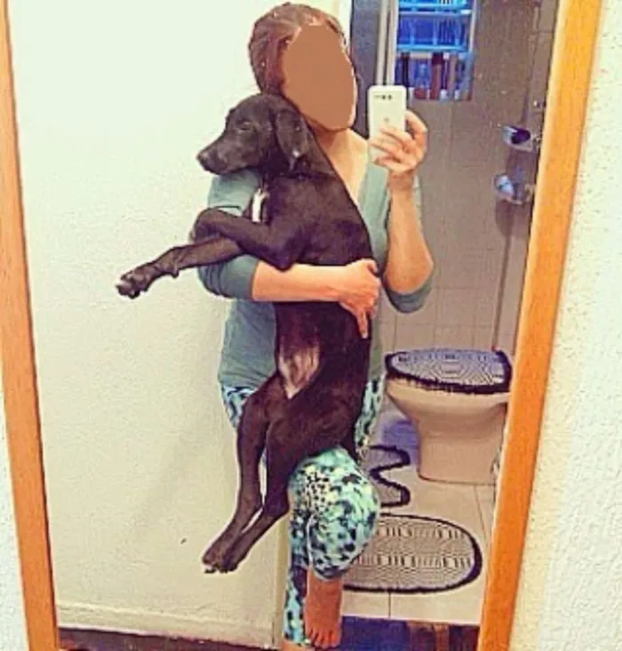 Cachorro ra a SRD idade 1 ano nome Lady