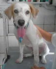 Fred